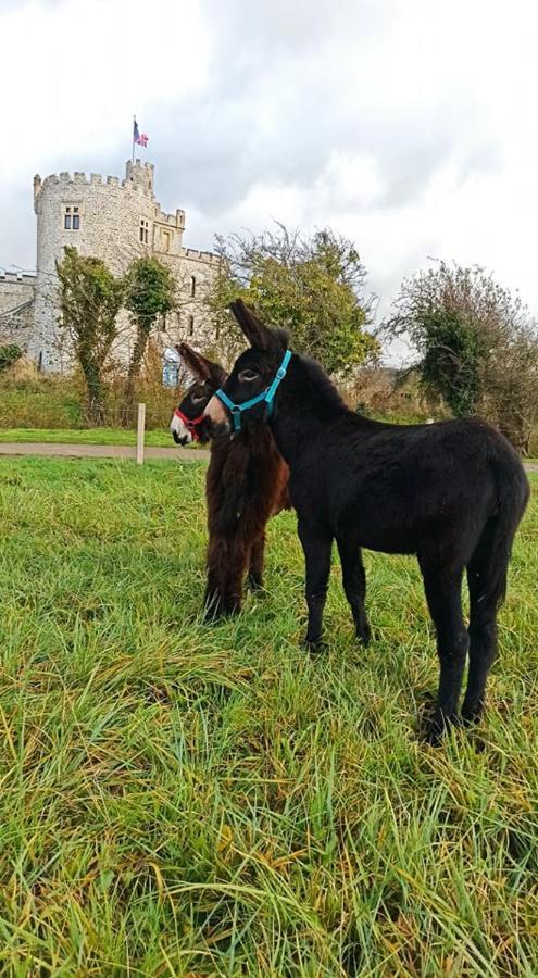 Les Anes Du Chateau D Hardelot, Pour 2 A 5 Pers Condette Dış mekan fotoğraf