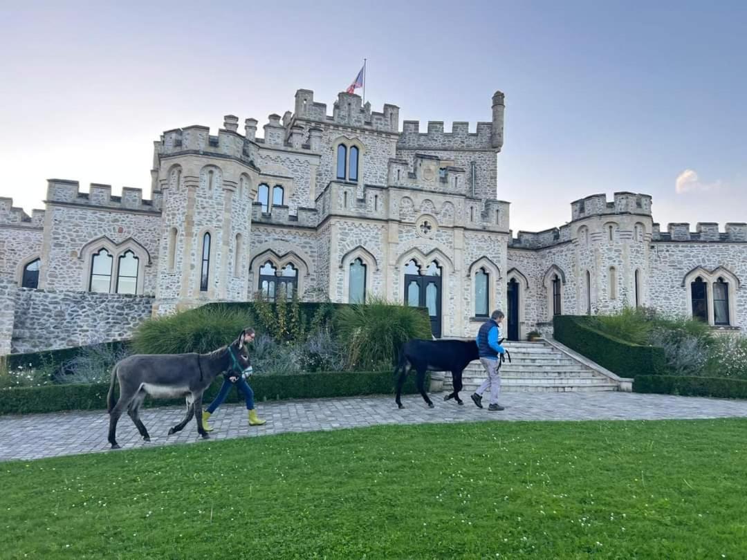 Les Anes Du Chateau D Hardelot, Pour 2 A 5 Pers Condette Dış mekan fotoğraf